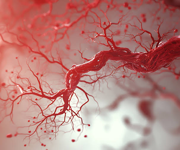 What Your Blood Can Reveal: 10 Hidden Signs of Health Problems - PATH 24  LABORATORIES