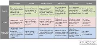 Summary Table Of Major Hormone Classes Endocrine Hormones Endocrine System Endocrine