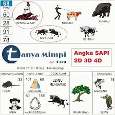 We did not find results for: Arti Mimpi Istri Selingkuh Menurut Togel 2d Syair 234 Jitu