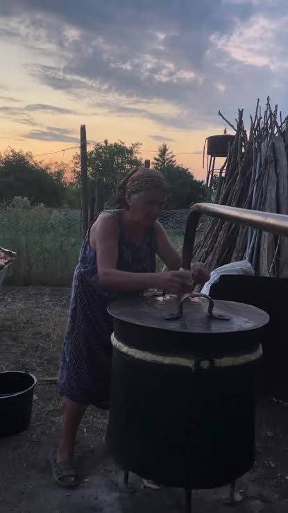 Fructe pregătite într-un vas pentru fermentare