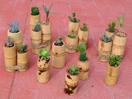 Check spelling or type a new query. 78 Best 6 Beautiful Diy Bamboo Planter Ideas Bamboo Planter Bamboo Bamboo Crafts