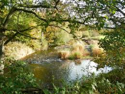 It was once the principal town of yorkshire, and it remains the seat of the archbishop of york. River Camel Westcountry Rivers Trust