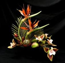 We did not find results for: Bird Of Paradise