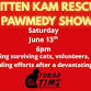Kitten Kam Rescue Pawmedy Show