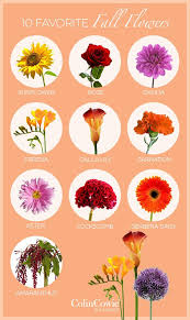 Check spelling or type a new query. 10 Favorite Fall Wedding Flowers Fall Wedding Flowers Wedding Flower Arrangements Floating Candles Wedding