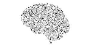 Cómo procesamos el lenguaje musical - Catalunya Vanguardista