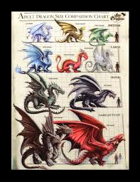 3d Picture Dragon Size Comparison Chart