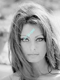 The acting career of sophia loren (born 1934) has covered over 50 years and more than 100 films. Amazon De Unbekannt Photo De Sophia Loren 15x20cm 6x8inch