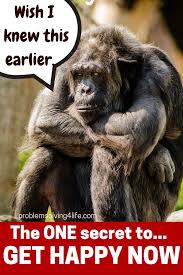 Do This And Feel Better Instantly Soothing Help Fast Chimpanzee Opinion Essay Close Up Photography