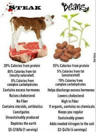 Meat Vs Veg Protien In 2019 Vegan Nutrition Vegan Facts