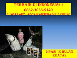 Terbaik Di Klaten 0852 3035 5149 Mpasi 7 Bulan Homemade Klaten Salmon Bayi Ikan