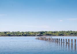 Accesul cel mai usor este prin stancuta dj 212, 4 km, gropeni dj 212, giurgeni sau harsova e60. Ce Putem Face In Insula Mica Si Insula Mare A Brailei