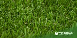 We did not find results for: Artificial Grass Vs Real Turf A Price Comparison Wonderlawn