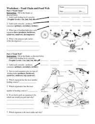Worksheets On Food Chains And Food Webs Food Chain Worksheet Science Worksheets Food Chain