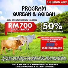 Jadi, apa penyelesaiannya kepada harga lembu aqiqah dan kambing aqiqah ini? Pembekal Lembu Korban Posts Facebook