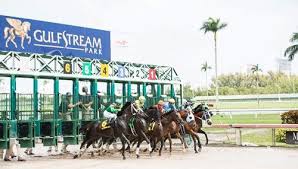 Yurt Disi Sitelerinin Gulfstream Park Erken Bahis Oranlari Favori Plase Surpriz 1 Kosu 1 3 7 5 4 2 8 2 Kosu 2 1 5 4 6 3 Park Atlar Kosum