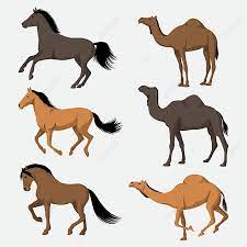 The horses would wear out much more quickly. Horses And Camels In Flat Design Illustration Style Horse Clipart Vector Desert Png And Vector With Transparent Background For Free Download