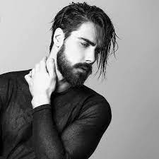 beards hair and beard styles beard styles beard