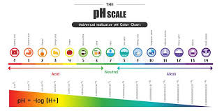 Comes with a ph color universal indicator chart! The Ph Scale Universal Indicator Ph Color Chart Diagram Stock Vector Illustration Of Color Scale 100265332