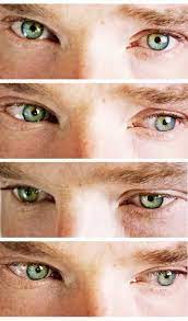 A list of benedict cumberbatch's best attributes. Homotography Benedict Sherlock Benedict Cumberbatch Benedict Cumberbatch Sherlock