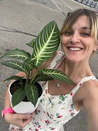 How to transition outdoor plants to indoors in San Diego?