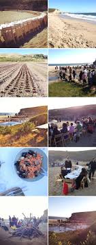 Uncover why outstanding in the field is the best company for you. Outstanding In The Field Secret Cove Dinner