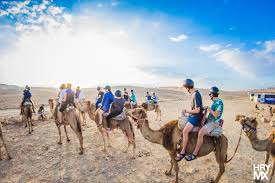 Here you can calculate how many camels your girlfriend or boyfriend is worth. Israel Travel Guide Where To Go And What To Do Asia