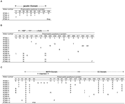 Additional mathematics form form 4 class date click here to enter a date. Plos One The Rtm Resistance To Potyviruses In Arabidopsis Thaliana Natural Variation Of The Rtm Genes And Evidence For The Implication Of Additional Genes