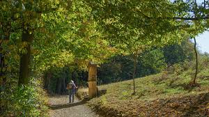 Die giechburg liegt hoch über der umliegenden landschaft und bietet ausblicke bis bamberg und zum gügel auf der anderen seite. Gugel Und Giechburg Uber Schesslitz Im Herbst Traumwanderungen