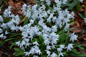 Maybe you would like to learn more about one of these? Purdue Yard And Garden