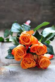 Pastel Delight Flowers Orange Roses Beautiful Flowers