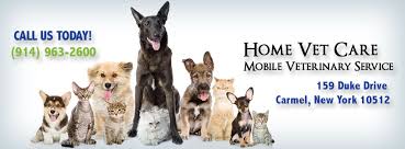 Please take a moment to contact us today, or to explore our website, to learn more about our we have been clients of home veterinary care since we moved here in 2008. Home Vet Care Mobile Veterinary Service Home Facebook