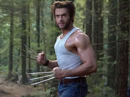 Image result for wolverine