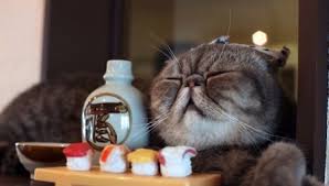 Download now 93 foto gambar pemandangan hitam putih terlihat cantik pusat informasi. Apa Yang Boleh Memberi Makan Kucing Scotland 27 Gambar Adakah Mungkin Untuk Memberi Susu Kepada Kucing Selama 2 Bulan Kaedah Untuk Memberi Makan Kucing Dewasa Di Rumah