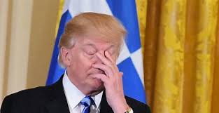 Late Model racer scores massive win over Ty Majeski, Carson Hocevar at  Freedom Factory