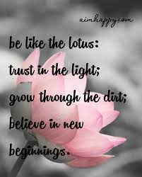 20 Lotus Flower Quotes To Inspire Growth New Beginnings Lotus Flower Quote Flower Quotes Inspirational Quotes