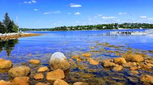 Image result for Hubbardochloa