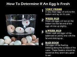 how to determine if an egg is fresh