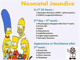 Neonatal Jaundice Medical Student Humor Nursing School Notes Medical School Studying