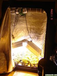 This hydrohut ig3031 silver edition series is the ideal tool for complete control over your grows. Grow Tent Reviews Wanted Page 2 420 Magazine