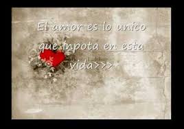 Fotos De Amor El Amor Es Lo Unico Que Importa Imagenes De Amor Con Fraces Lindas Para Compartir Love Words Love