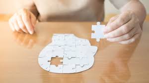 Aducanumab, which the drug companies biogen and eisai are developing, is designed to reduce the sticky amyloid plaques that build up in the brains of people with alzheimer's. Is Biogen S Aducanumab For Alzheimer S The Holy Grail Or Cold Fusion Biospace