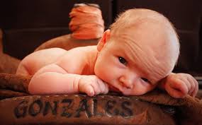 Holly Gonzales Photography (@hollygonzalesphotography) • Facebook