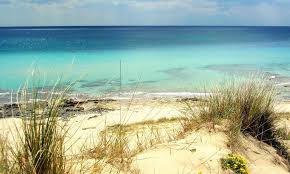 Find what to do today, this weekend, or in june. Vacanze Al Mare Di Taranto Ecco Le Spiagge Top Spiagge Vacanze Al Mare Vacanze