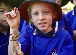 Faction Swimming Carnival