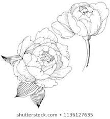 Anemone Clipart Black And White Similar Images Stock Photos Vectors Of Drawing Anemone Flowers Illustration Vector Clipart 619695716 S Flower Illustration Vector Flowers Anemone Flower