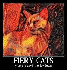 katzen meme cat meme cats ezine art