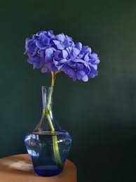 Maybe you would like to learn more about one of these? Purple Flower In Blue Glass Vase Photo Free Blue Image On Unsplash