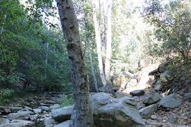 We did not find results for: Wheeler Gorge Campground Parks Management Company Get Outdoors California Camping