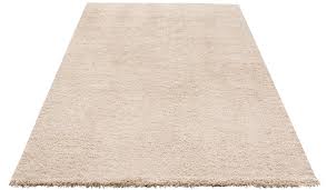 Rechteckig 60 x 120 cm. Teppiche Aus Mikrofaser Preisvergleich Moebel 24